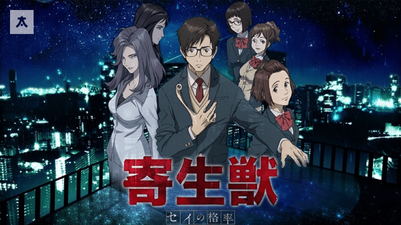 seinen min 3 Animelerden