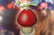 one-piece-buyuk-savas-oncesi-surpriz