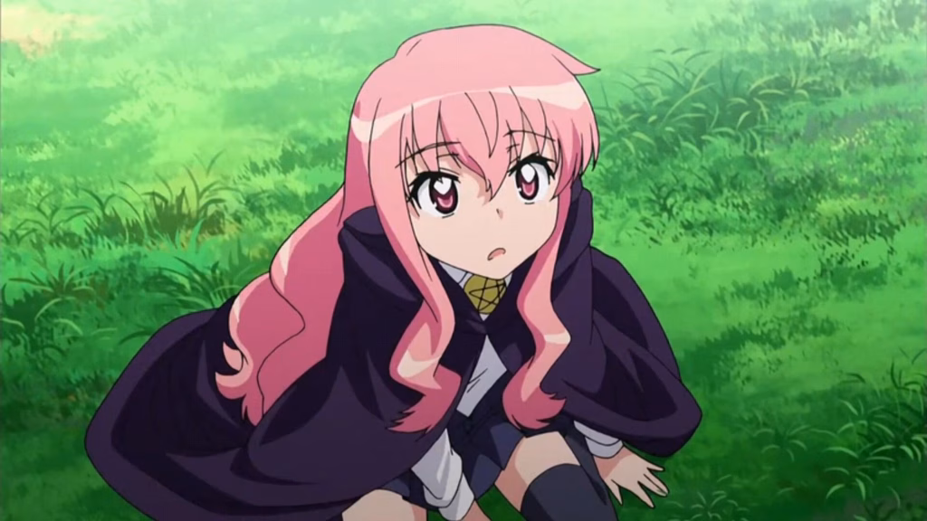 pembe sacli anime karakterleri Louise Francoise Animelerden