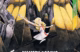 five-star-stories-mangasinin-kapak-tasarimlari