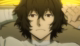 bungo-stray-dag-geri-donuyor