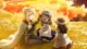 Reenkarnasyon animeler: 55 anime önerisi 34 Reenkarnasyon animeler In the Land of Leadale min Animelerden