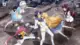 Reenkarnasyon animeler: 55 anime önerisi 17 Reenkarnasyon animeler World Break Aria of Curse for a Holy Swordsman min Animelerden