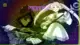 Solo Leveling ile Frieren