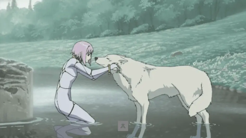 duygusal animeler Wolfs Rain min Animelerden