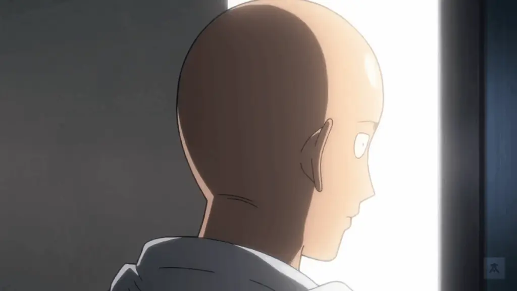 one punch man gorsel min Animelerden